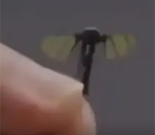 Китайські студенти створили військовий дрон розміром з комара
