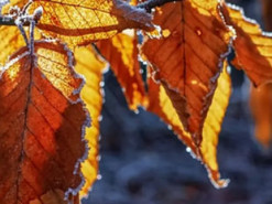 Перші морози вже на горизонті: чого чекати українцям від погоди у листопаді