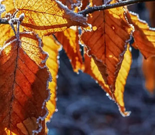 Перші морози вже на горизонті: чого чекати українцям від погоди у листопаді