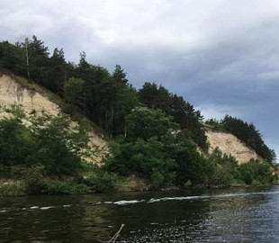 «Сморід просто пекельний»: в мережі повідомили про екологічну катастрофу на Київському водосховищі