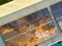 Ринок сонячних панелей: другий гігант у США оголосив про банкрутство