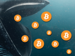 Резерви біткоїн-китів з початку року зросли на $3 млрд
