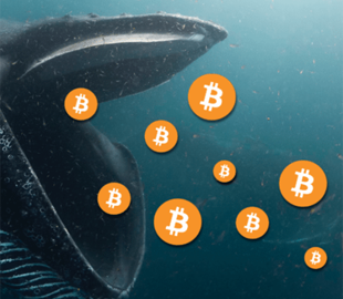 Резерви біткоїн-китів з початку року зросли на $3 млрд