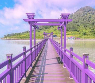 Ідеальна Instagram-локація: курортний острів в Кореї повністю пофарбували у фіолетовий колір