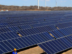 Може живити країну цілий рік: як працює найбільша у світі сонячна електростанція