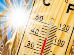 ООН закликала світ відреагувати на рекордну спеку