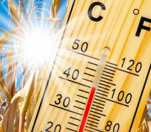 ООН закликала світ відреагувати на рекордну спеку