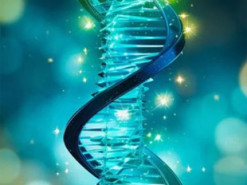 Близький конкурент OpenAI заявив, що ШІ подвоїть тривалість життя людини за 10 років