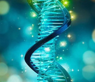 Близький конкурент OpenAI заявив, що ШІ подвоїть тривалість життя людини за 10 років