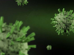 ИИ помогает прогнозировать новые комбинации препаратов для борьбы с COVID-19