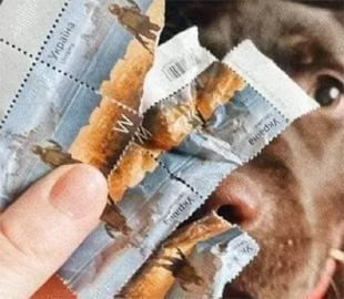 "Укрпочта" создала мем о собаке, съевшей марки с русским кораблем