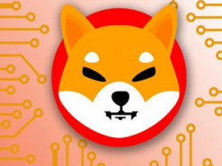 Людина стала мільярдером за $8 тис. за допомогою Shiba Inu