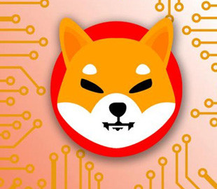 Людина стала мільярдером за $8 тис. за допомогою Shiba Inu