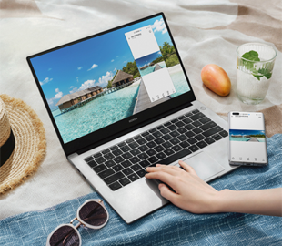 Представлены ноутбуки Honor MagicBook X14 и MagicBook X15