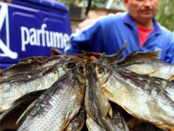 Плюс майже кожен другий: Україну накрили кишкові інфекції