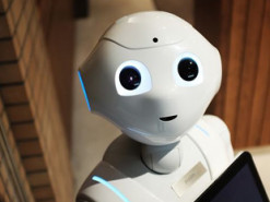 В ближайшие 30 лет от трети до половины рабочих мест заменят роботы