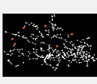 Розробники зі США представили першу у світі систему штучного інтелекту, що стежитиме за супутниками у космосі