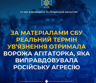 На Донеччині засудили інтернет-агітаторку, яка виправдовувала російську агресію