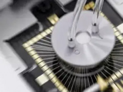 Біокомп'ютер із клітинами мозку навчили грати в Doom