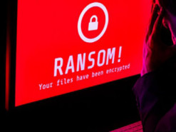 IT-компании создали группу по борьбе с вымогательским ПО