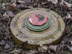 На Житомирщині автомобіль лісової охорони підірвався на міні