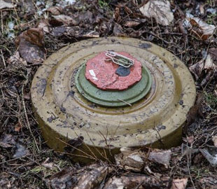На Житомирщині автомобіль лісової охорони підірвався на міні