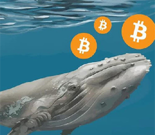 Невідомий біткоїн-кит накопичив на своєму гаманці $3 млрд лише за три дні