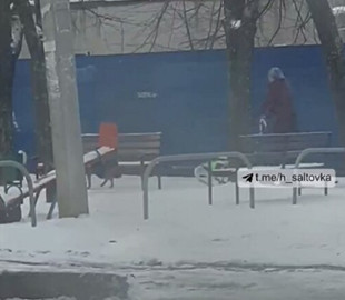 Українка запрягла собак в санки