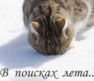 Лето в Украине высмеяли новыми мемами