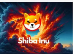 Уряд США перемістив 54 мільярди цифрових токенів Shiba Inu