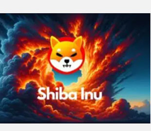 Уряд США перемістив 54 мільярди цифрових токенів Shiba Inu