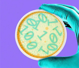 Нові моделі ШІ можуть допомогти створити біологічну зброю, – OpenAI