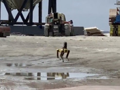 На місці вибуху ракети Starship було помічено робо-собаку Boston Dynamics