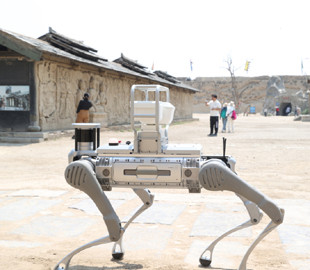 У Китаї робопес-охоронець почав патрулювати територію кіностудії