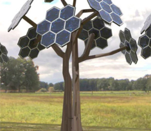 Сонячні панелі у формі дерев запрацюють у рази краще: у чому їхній секрет