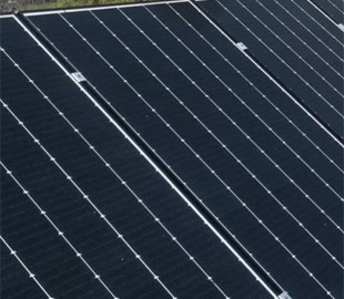 Вчені створили сонячні панелі з дерева, які працюють цілодобово