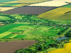 Українські вчені представили екологічний проєкт на основі ШІ під час сесії Генеральної Асамблеї ООН