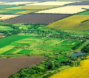 Українські вчені представили екологічний проєкт на основі ШІ під час сесії Генеральної Асамблеї ООН