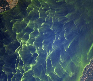 Знімки Києва з космосу захопили астронавта. Фото