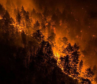 В регионах России бушуют массовые пожары