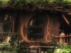 Прихильниця письменника Толкіна побудувала в лісі «Будинок Гобіта»