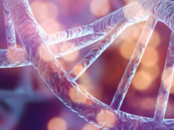 Чим банкрутство 23andMe небезпечно для бази геномів