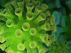 Израильский стартап может осуществить прорыв в борьбе с будущими вариантами COVID