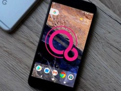 Раскрыт главный секрет новой операционной системы Google