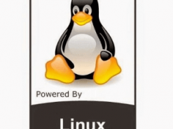 Линус Торвальдс «разрешил» начать разработку Linux 5.0