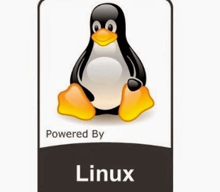 Линус Торвальдс «разрешил» начать разработку Linux 5.0