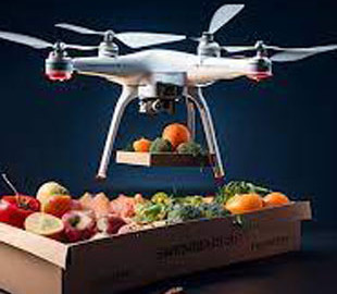 У Швеції запустять доставку їжі за допомогою дронів