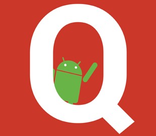 Какое название получит Android Q?