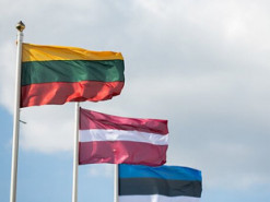 Країни Балтії та Німеччина посилюють співпрацю у боротьбі з дезінформацією