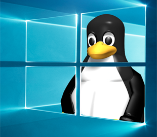 Linux обійшов Windows 11 в іграх: нові тести відкрили очі на реальність